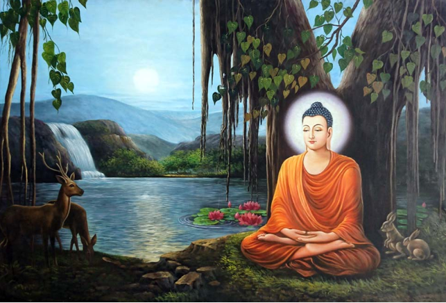 Thiền Vipassana là gì?