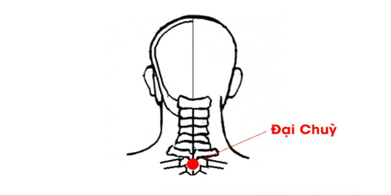 Huyệt Đại Chùy