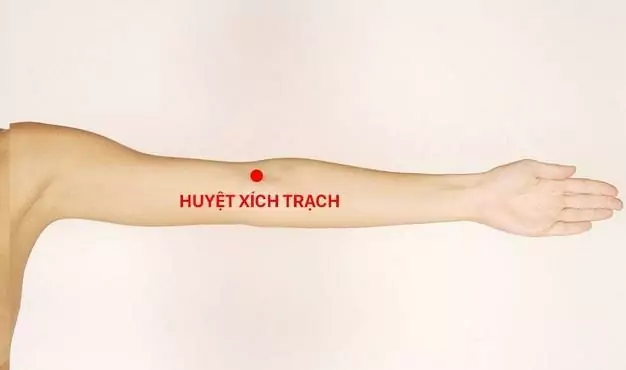 Bấm huyệt trị ho hiệu quả tại huyệt Xích Trạch 