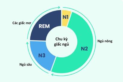Chu kỳ giấc ngủ